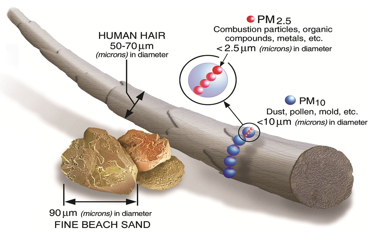 How Small is This? Precision Pin Manufacturer